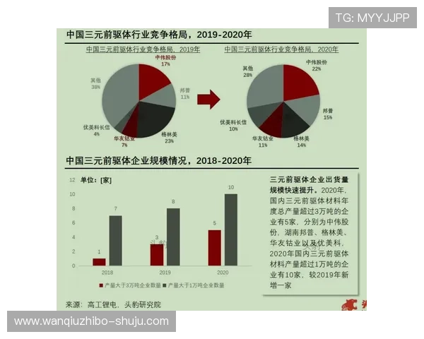 波胆44一般多少倍 避坑防骗全解析